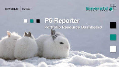P6-Reporter - Portfolio Resource Dashboard